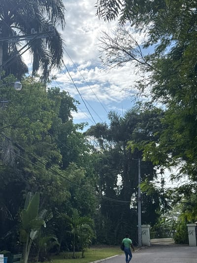 The image shows a street scene in Cabarete, Dominican Republic, characterized by lush, green foliage. The sky is partly cloudy with blue patches visible between the trees. Overhead power lines crisscross the scene. A person dressed in a green shirt and blue pants walks along the sidewalk on the right side of the frame. A utility pole is positioned near the center of the frame, and a streetlamp is visible to the left of the center. Decorative stone pillars with the letter "R" are along the right side of the road. The environment is characterized by tropical vegetation.