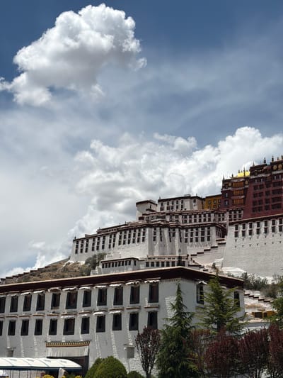 The image displays a majestic architectural complex, widely recognized as the Potala Palace, set against a vibrant blue sky dotted with white clouds. The palace dominates the right side of the frame, showcasing its iconic tiered structure.
The lower and central sections of the palace are predominantly white, characterized by numerous windows with dark frames, creating a striking contrast. The upper part of the building is a deep reddish-brown, also featuring many windows, and crowned with ornate golden roof elements that shimmer under the sunlight. These golden details are particularly prominent on the rooftops of the red section.
The left and upper portions of the image are filled with a clear, bright blue sky, adorned with scattered cumulus clouds. Some clouds are large and voluminous, while others appear as softer wisps. The bright, even lighting indicates it is daytime, likely midday or early afternoon, contributing to the clear visibility of the architectural details and the natural environment.
Around the base and within the grounds of the palace, various trees and bushes are visible. Some foliage is a vibrant green, while other sections feature reddish-brown leaves, suggesting either specific plant types or the season. No people are discernible in the photograph. On the far right, near the base of the palace, what appear to be white banners or temporary structures with blue graphics are visible, though any specific text on them is not legible. The scene conveys a sense of grandeur, historical significance, and serene beauty.