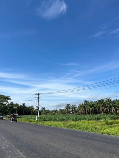 The image depicts a roadside scene in Bukitrata, Indonesia, under a bright blue sky with scattered wispy clouds. A paved road runs along the right side of the frame, curving slightly. To the left of the road, a lush green field of crops, likely corn, stretches out, bordered by a dense line of palm trees. A utility pole with multiple wires is visible in the middle ground, indicating infrastructure present in the area. In the distance, a plume of smoke rises from behind the trees, suggesting a possible uncontrolled burn or industrial activity. Closer to the foreground, a tricycle, a common mode of transportation in the region, is seen on the road, carrying passengers. The overall impression is one of a rural or semi-rural setting on a clear, sunny day. The time of day appears to be late morning or early afternoon, given the quality of light and the shadows. There are no visible text elements in the image.
