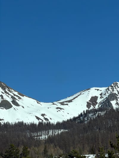 The image depicts a mountainside partially covered in snow, with a clear blue sky occupying the majority of the frame. A dense forest of trees, many appearing bare, lines the right side of the snow-covered slope. The scene could be located in Montgenèvre, France, given its mountainous terrain and snowy conditions.