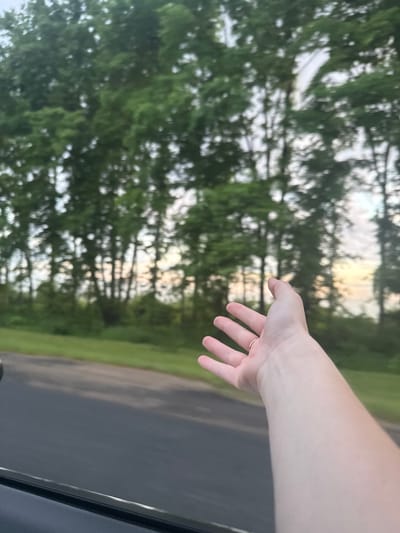A human hand is reaching out of a vehicle window, with green trees and a cloudy sky in the background. The hand is pale with a ring on one finger. The vehicle appears to be in motion, indicated by the blurred road and scenery. The image does not contain any specific visual cues to determine its location in Shelkovka, Russia.
