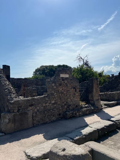 A bright, sunny day is captured in an outdoor shot of ancient ruins in Pompeii, Italy. The sky is a vibrant blue, dotted with thin, wispy clouds and a few larger, fluffy clouds in the distance. The sun casts sharp shadows across the scene, indicating its position high in the sky.

The foreground and midground are dominated by the remains of stone structures. Walls, built from rough-hewn stones and mortar, are crumbling and incomplete, revealing the interior spaces of what were once buildings. Some walls have large openings, allowing views into darker areas beyond. In the immediate foreground, large, weathered stone blocks are arranged in what appears to be a pathway or part of a foundation.

A paved pathway, likely an ancient road, runs through the ruins, bordered by these stone elements. A metal gate, partially obscured by a stone pillar, stands open, leading further into the site.

Behind the ruins, lush green trees and foliage form a dense backdrop. A stark, bare tree with twisted branches stands out against the greenery and the sky, adding a dramatic element to the composition. In the far distance, a hazy mountain or hill is visible, possibly Mount Vesuvius.

The overall impression is one of historical significance and enduring natural beauty, with the well-preserved remnants of human civilization set against a backdrop of clear skies and vibrant nature.