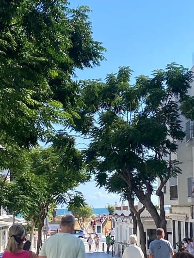 The image depicts a street scene in Conil de la Frontera, Spain, with a clear blue sky overhead. Lush green trees line the street, some with dense foliage and others with more sparse, gnarled branches. White buildings with balconies and black and white striped awnings are visible on the right side of the street. A group of people are walking along the street, some in the foreground and others further in the distance, heading towards the sea, which is visible in the background. The people are dressed casually, suggesting a warm day. The overall impression is a lively, sun-drenched Mediterranean street.