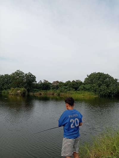In the city of Kualu, Indonesia, a young boy, viewed from behind, stands by a calm body of water, likely a lake or river, engaged in fishing. He is wearing a blue t-shirt with the name "PALMER" and the number "20" printed on the back, along with black and white striped shorts. The boy holds a fishing rod, its tip extended over the water. The surrounding environment is lush with dense green trees forming a natural backdrop along the far bank of the water. The sky above is overcast with a light, diffused gray. The water's surface is rippled, reflecting the muted light. Tall green grass grows along the bank where the boy is standing.