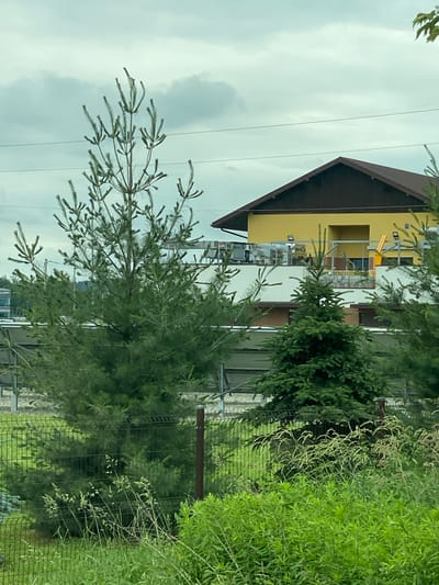 The image shows a residential building with a yellow facade and a dark brown roof, located in Podłęże, Poland. In the foreground, there are several pine trees of varying sizes, with a wire fence running across the lower part of the frame. The sky is overcast. The building appears to be under construction or renovation, with some scaffolding visible on the upper level. The surrounding area is green, with grass and other vegetation growing. The image is taken from a distance, likely from a car or a passing vehicle, as indicated by the slightly blurred quality and the presence of a car window tint.