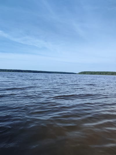 The image depicts a serene, wide expanse of calm water, likely a lake or a river, under a clear blue sky with wispy white clouds. The horizon is lined with a dense, dark green forest, suggesting a natural, undeveloped landscape. The water surface exhibits gentle ripples, reflecting the light and creating a textured appearance. The foreground of the water is darker, transitioning to a lighter shade as it recedes towards the horizon, indicating depth or variations in the water's composition. No people, animals, or man-made structures are visible in the scene. The location is identified as Заводоуспенское, Russia.