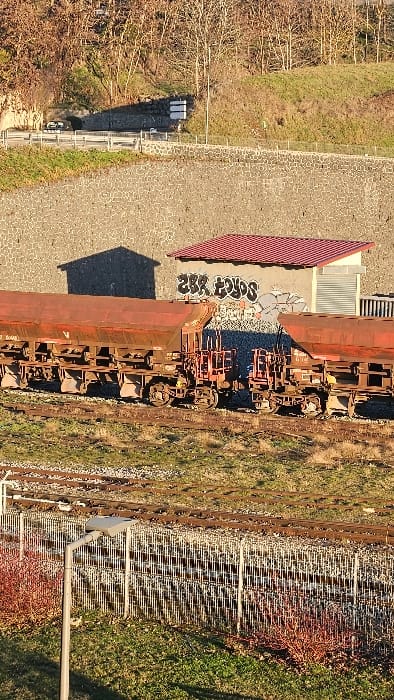 The image captures a multi-level outdoor scene within Le Puy-en-Velay, France, under illumination consistent with low-angle sunlight, casting distinct shadows.
In the foreground, a partial view of a grey street lamp post rises from green grass dotted with reddish dormant shrubs. Behind this, a white metal fence, composed of multiple vertical panels, extends horizontally. Immediately beyond the fence, several parallel railway tracks with gravel ballast are visible.
A stationary freight train, comprising multiple weathered, reddish-brown hopper cars, occupies one of the tracks. The mechanical coupling between two cars is discernible. Behind the train and to the right, a small, light-colored building with a red-tiled gabled roof stands. Its visible side is marked with black graffiti, including the prominent text "SBR TOYS," and a grey roller shutter door is present on its right. A sharp, dark shadow of a gabled-roof structure is cast onto a large, textured dark grey stone retaining wall that forms the backdrop for the railway level.
Above this stone retaining wall, a paved road featuring a white metal guardrail runs horizontally. A dark-colored car is visible on this road, partially obscured by the guardrail. To the right of the car, a white rectangular road sign with two horizontal bars is affixed to a pole. The upper background consists of a steep hillside covered in bare, deciduous trees and dry, brown grass. No individuals are present within the frame.