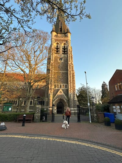 The image captures a late afternoon scene in front of St. Thomas of Canterbury Church in Brentwood, United Kingdom. The prominent stone Gothic Revival church, featuring a tall tower with a spire and a visible clock face, is bathed in warm, directional sunlight, casting long shadows. On the reddish-brown brick-paved area directly in front of the church's black metal gates, a blonde female individual, wearing a brown jacket, dark trousers, and white athletic shoes, stands holding a white leash in her right hand. Beside her, to her left, a large white-furred dog is seated calmly, facing towards the viewer. To the left of the church entrance, within the churchyard, a dark wooden bench, a green information board, and a large, bare deciduous tree are visible. The lower foreground shows a cobblestone street marked with double yellow lines. To the right of the scene, part of a brick building, a tall black lamppost, two blue wheelie bins, and two potted topiary plants are present. The sky above is clear and light blue, with branches bearing new foliage or blossoms extending into the upper left of the frame.