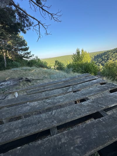 A close-up of weathered, gray wooden planks, likely part of a pallet or makeshift table, dominates the foreground. Behind the planks, a patch of dry, yellowed grass slopes gently upward, interspersed with sparse green foliage. A small fire pit, containing remnants of ash and charred wood, is visible to the left. In the middle ground, a dense line of trees and shrubs stretches horizontally, with more trees and bushes dotting the undulating green hills in the background. The horizon is marked by a distant, hazy landscape. A clear, bright blue sky occupies the upper portion of the image. The scene is set in Pryvorottia Druhe, Ukraine.