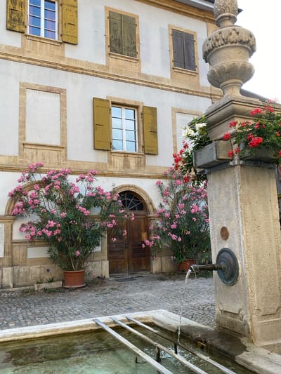 The image depicts a fountain in the city of Milvignes, Switzerland. In the foreground, a stone fountain structure with a spigot is visible, with water flowing from it into a basin. Behind the fountain, a building with a light-colored facade and arched wooden doors is featured. The building has several windows with aged yellow shutters. Two large potted plants with abundant pink flowers are positioned in front of the building, adding a splash of color to the scene. The ground is paved with cobblestones. The overall atmosphere is serene and appears to be outdoors during the daytime.