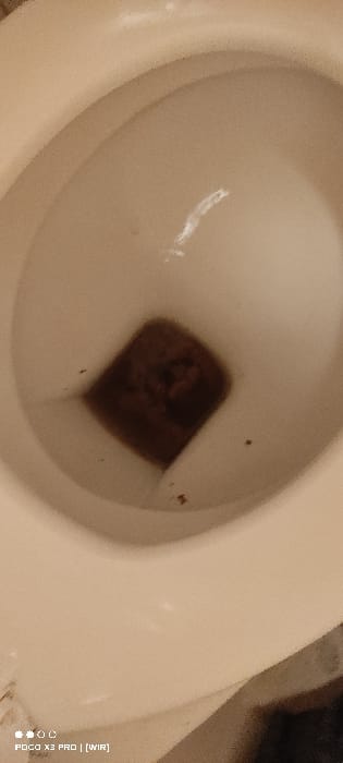 The image displays a downward view into a white ceramic toilet bowl. The bowl contains clear water. Submerged at the bottom center of the water is a single, dark brown, solid object exhibiting an irregular, somewhat rectangular shape. Several smaller dark brown particulate specks are visible within the water and adhering to the inner ceramic surface. No individuals are present, and no actions or interactions are depicted. The specific location within Constance, Germany, cannot be determined from the visual evidence provided.