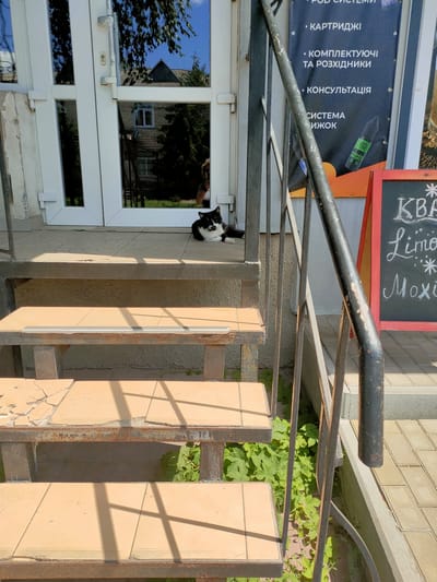 A black and white cat is lying on the tiled ground next to a white-framed glass door. The cat is facing right, with its body curled and its head turned towards the viewer. The door has several panes, and through the glass, a reflection of a building and trees is visible. In front of the door are a series of weathered, tiled steps with metal railings. Green foliage grows at the base of the steps. To the right of the steps, a red A-frame chalkboard sign is partially visible, with white lettering on its black surface. The scene appears to be outdoors, on a sunny day, in a city location. Based on the provided context, this scene is located in Nosivka, Ukraine.