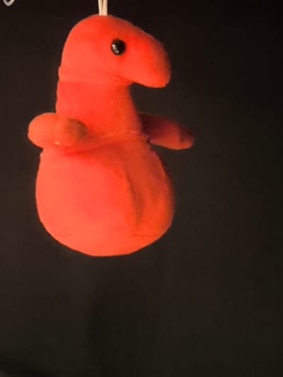 A plush toy, shaped like a red creature with a bulbous body and a long, pointed snout, is hanging against a black background. The toy has a small black eye visible on its snout and two small appendages resembling arms. The lighting appears to be from the side, casting some shadows and highlighting the texture of the plush material. The toy is suspended by a thin white string that is partially visible at the top of the image. There is no identifiable context of Otomin, Poland in the provided image.
