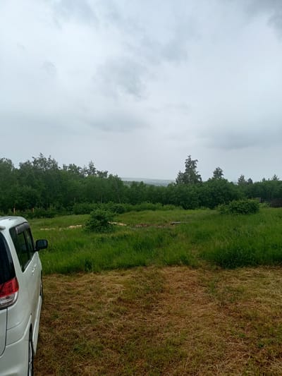 A white minivan is parked on a dry, grassy field. Beyond the field, a dense forest of green trees stretches across the horizon under a cloudy sky. The image appears to be taken in Karluk, Russia.