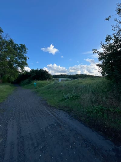 An outdoor, low-angle, eye-level, full shot captures a gravel path leading into a grassy field under a bright blue sky with scattered white clouds. The path curves slightly to the left and disappears into a shadowed area bordered by lush green trees on the left. To the right of the path, the field slopes upwards, covered in tall green grass and some sparse vegetation. In the mid-ground, a green trash receptacle stands near the edge of the field. Further back, a wooden structure with a roof, possibly a picnic shelter, is visible. A dense line of trees forms the horizon in the distance. The scene is devoid of any people or animals. The overall atmosphere suggests a park or recreational area in the municipality of Bašť, Czechia.