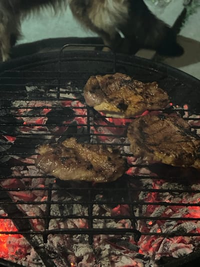 Three pieces of meat, appearing to be steaks, are grilling on a black metal grate over glowing red and ash-covered charcoal briquettes within an outdoor grill. The meat exhibits distinct grill marks and a browned, cooked surface. In the background, partially obscured by the upper frame, two quadruped animals with fur are visible; one appears light brown, and the other dark brown or black. The scene is dimly lit, suggesting evening or night conditions. This event is occurring in the city of Stolnik, Bulgaria.