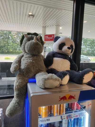 Two large stuffed animals, a grey triceratops and a black and white panda, are seated on top of a commercial refrigerator. The refrigerator has a red bull logo and is stocked with cans of energy drinks. The background shows a window looking out onto a road and trees. The scene appears to be at a gas station. The location is Eijsden, Netherlands.