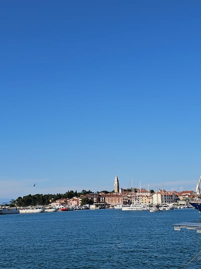 A daytime, eye-level, wide-angle shot captures a view of the harbor in Izola, Slovenia. The sky is a clear, bright blue with a single bird flying to the left of center. Below the sky is the city skyline, characterized by terracotta-tiled roofs and a tall, pale-colored church steeple. Several boats of varying sizes are docked in the harbor, with white sails on some of the sailboats prominently visible. The water in the foreground is a deep blue with small ripples. A partial view of a modern boat structure is visible in the bottom right corner.