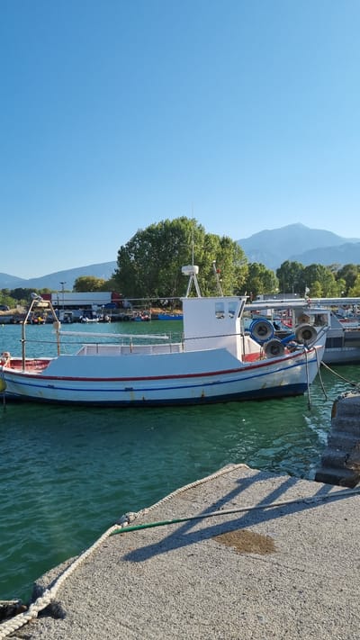 A clear, sunny day at the harbor of Limani Litochorou, Greece. A white fishing boat with red and blue trim is moored in the foreground. The boat has a cabin structure and several coiled ropes and buoys on its deck. The water is a vibrant green and appears calm. To the right, a concrete jetty with a rope extending from the boat is visible, along with some stone steps leading up. In the background, more boats are docked, and a line of trees stands against a backdrop of distant mountains under a clear blue sky. The overall scene depicts a peaceful maritime setting.