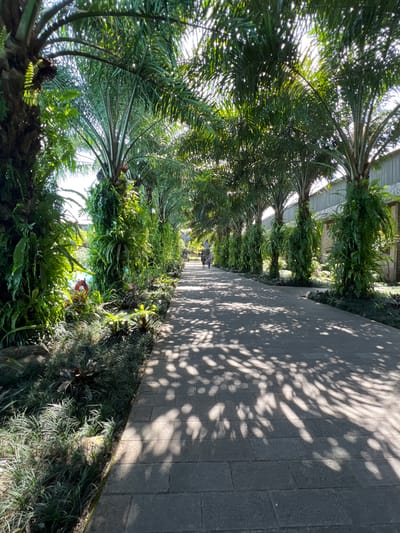 The image captures a sun-dappled pathway in Petulu, Indonesia. The pathway, constructed of gray rectangular pavers, is overlaid with the shadows of tree foliage. Along the left side of the path, there is dense vegetation. The right side of the path has similar vegetation. Overhead are several trees, suggesting a constructed promenade lined with landscaping. The image's perspective suggests it was taken by someone standing on or next to the path.
