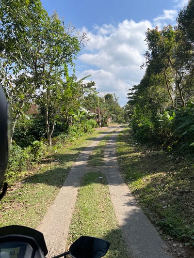 The image depicts a concrete path winding through a lush, green rural landscape in Pupuan, Indonesia. Trees with dense foliage line both sides of the path, creating a canopy that casts shadows on the ground. The path appears to be a rural road, possibly leading to or from a village, as houses with reddish-brown roofs are visible in the background amidst the greenery. The sky is a vibrant blue, dotted with fluffy white clouds. The foreground shows the handlebars and dashboard of a motorcycle, suggesting the image was taken from the perspective of someone riding the motorcycle. The scene is bathed in bright sunlight, indicating it is daytime. The overall impression is one of a peaceful, tropical environment.