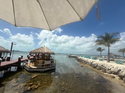 The scene captures a sunny day in Key Largo, Florida, United States of America. In the foreground, shallow, clear water reveals seaweed on the seabed. A thatched-roof tiki bar floats on a pontoon, moored to a wooden dock. The tiki bar appears to be operational, with chairs and stools visible. Beyond the tiki bar, the calm water reflects the sky, dotted with puffy white clouds. On the right, a rocky shoreline leads to a sandy area lined with turquoise Adirondack chairs, some occupied by people relaxing. Palm trees stand tall, providing shade. An umbrella partially obscures the view from the top of the frame. The overall atmosphere suggests a tropical, leisurely setting.