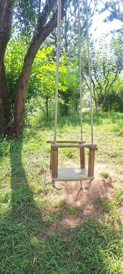 A homemade wooden swing hangs from ropes amidst a lush green outdoor environment. The swing, constructed from rough-hewn wood, features a seat and a crossbar, suspended by thick, braided ropes. It is positioned on a patch of dry, reddish-brown earth surrounded by vibrant green grass. Tall trees with dense foliage, casting dappled shadows on the ground, frame the scene. The background consists of more trees and greenery, suggesting a park or a natural landscape. The lighting indicates a bright, sunny day. The image was taken in or near Jangy-Turmush, Kyrgyzstan, a location known for its natural beauty and rural settings.