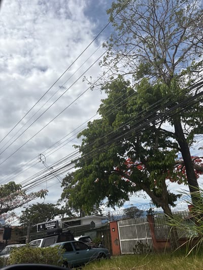 The image shows a scene in San Rafael, Costa Rica (latitude: 9.938, longitude: -84.153).  A large tree with green leaves and some red flowers stands in the foreground, partially obscuring a white gate with black bars and a red brick wall.  The tree is surrounded by green grass.  Behind the gate, there is a white building with a black sign that says "Medicina Estetica."  There are multiple power lines running through the scene. Several cars, including a blue car and a silver pickup truck, are parked behind the gate.  The sky is partly cloudy.