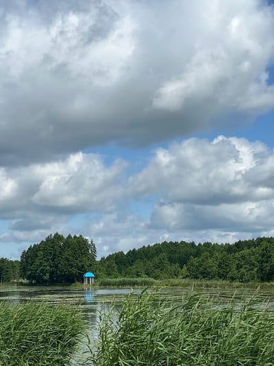 A gazebo with a blue roof sits on the edge of a calm lake, surrounded by a dense forest. The water is partially covered with aquatic plants. Tall, green reeds line the foreground, obscuring the lower portion of the lake. The sky above is filled with large, fluffy white and grey clouds against a backdrop of blue sky. The image appears to be taken in a natural, serene setting.