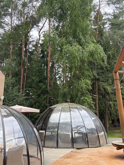 The image shows a glamping site in Pavlovskaya Sloboda, Russia, with several geodesic domes offering private dining or accommodation spaces. The domes, made of transparent material with dark frames, are set up on a wooden deck amidst a pine forest. Each dome contains wicker furniture and tables, some with place settings. In the foreground, the textured sand covers part of the ground. A beige umbrella is visible behind the domes. The background is dominated by tall pine trees and lush green foliage, suggesting a natural, outdoor setting. The sky is overcast, indicating a cloudy day. No people are visible in the image.