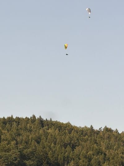 Two paragliders are visible in the sky over a dense forest canopy. The paraglider on the left is yellow and green, while the one on the right is white and silver. The paragliders are suspended at different altitudes against a clear, light blue sky. The forest below is lush and green, with a slightly undulating treeline. The image does not contain information that would indicate the specific location within the city of Milenov, Czechia.