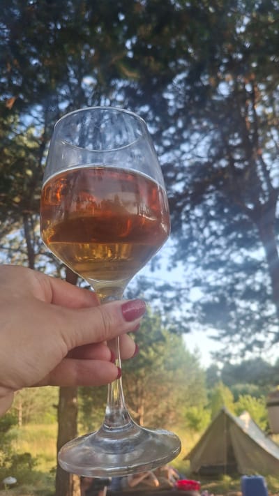 A hand with polished nails holds a clear glass filled with an amber liquid. The glass is a wine glass with a stem and base. In the background, blurred trees with green foliage and branches suggest an outdoor setting, likely a park or forest. Sunlight filters through the leaves, creating a dappled light effect and indicating it's daytime. Further in the background, a tent or canopy and a few indistinct figures suggest a gathering or event is taking place. The overall mood appears relaxed and casual. The setting hints at a temperate climate, possibly summer or early autumn, given the greenery. There is no visible text in the image.