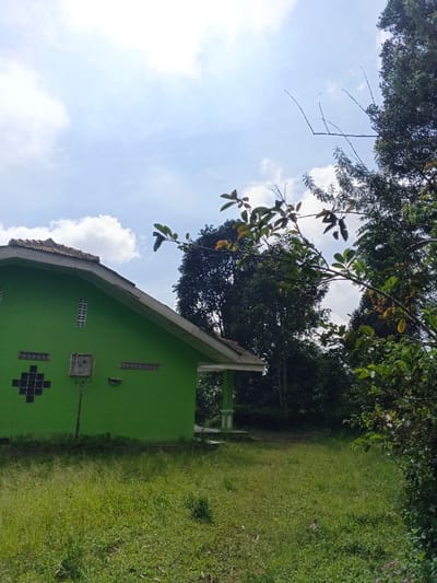 The image depicts an outdoor daylight scene, reportedly in the city of Nanlao, China. A single-story building with bright green exterior walls and a brown-tiled, pitched roof occupies the midground, oriented towards the left. The visible left facade features three upper rectangular white ventilation openings, two lower rectangular white ventilation openings, and a decorative pattern of four dark square blocks forming a larger square with a central dark square. A small, light-colored square object is mounted on the wall to the right of the decorative pattern, from which a thin dark pole extends vertically downwards. A small porch with two white support pillars is visible on the building's right side, recessed and in shadow. The foreground consists of an unmaintained grassy area with varied green and brown vegetation. In the background, dense green foliage and trees are visible, extending into the upper right of the frame. A prominent branch with green and reddish-brown leaves partially overlays the upper right quadrant of the scene. The sky above is light blue with scattered white cumulus clouds. No individuals, explicit actions, or interactions are depicted.