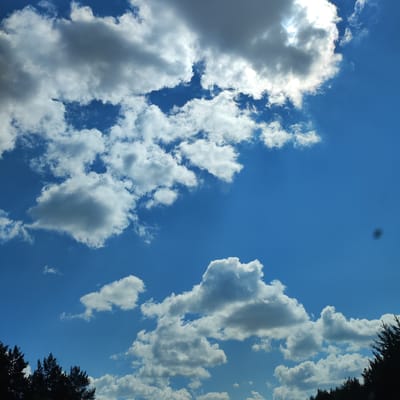 The image captures a bright, clear blue sky filled with scattered white and grey cumulus clouds. The sun is partially obscured by a large cloud in the upper right quadrant, creating rays of light that pierce through the sky. In the foreground, silhouetted against the sky, are the tops of dark green pine trees along the bottom edge of the frame, suggesting a natural or park-like setting. There are no people or specific landmarks visible that would definitively place the image in Kineshma, Russia. The scene is tranquil and depicts a typical daytime sky.