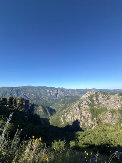 A high-angle, wide shot captures a vast mountainous landscape under a clear, bright blue sky. The foreground is filled with lush green grass and a variety of wildflowers, including purple, yellow, and pink blooms, with some grasses extending towards the camera. Dominating the mid-ground and background are rolling mountains covered in dense green vegetation, interspersed with rocky outcrops and sheer cliffs. Deep shadows are cast across the valleys, creating a dramatic contrast with the sunlit peaks. The farthest mountain range appears hazy and extends to the horizon. The scene is a natural, undeveloped environment.
