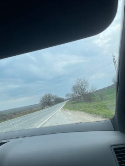 The scene, located near Kozar Belene, Bulgaria, is viewed from inside a vehicle looking through the windshield. The top of the frame is obscured by a dark sun visor, and the bottom reveals a dark grey dashboard with an air vent visible on the right. A two-lane asphalt road, appearing damp, stretches from the lower left foreground towards the upper right background, gently curving and ascending. It features a solid white line on the right shoulder and a partially visible dashed white center line. To the left of the road, flat fields with scattered, bare deciduous trees extend to the horizon. To the right, a grassy embankment with green vegetation and patches of light soil borders the road, also populated by bare deciduous trees. The sky is overcast with grey clouds. Power lines traverse the sky, and a metal lattice power pylon is partially visible on the far right, near the vehicle's A-pillar. No individuals are present in the image.