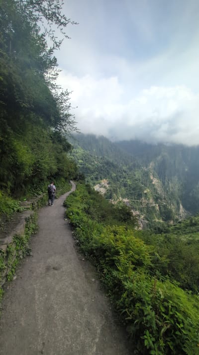 A lone hiker, seen from behind, walks along a dirt path that curves into a lush green mountainous landscape. The path is flanked by dense vegetation and rocky outcrops. In the distance, the mountains are covered in trees and shrouded in clouds. The scene appears to be a trekking route, possibly in the Indian Himalayas, given the mention of Malana, India. The weather appears overcast, suggesting a cool and potentially damp environment. The overall impression is one of a remote and serene natural setting.