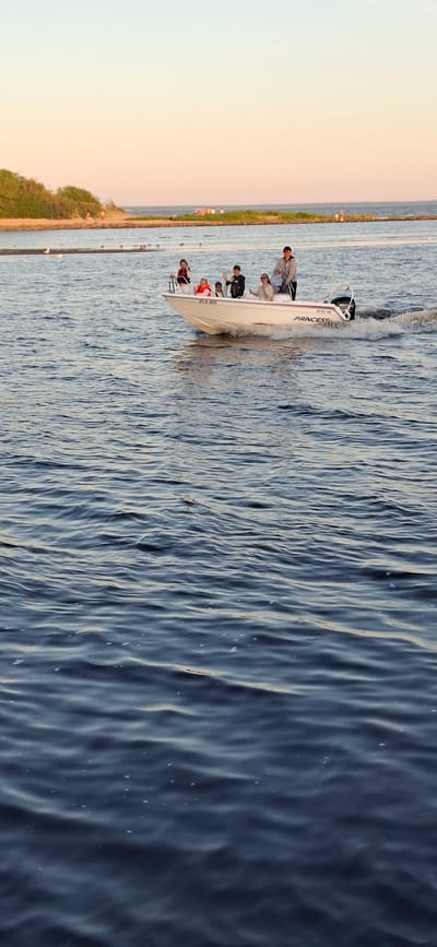 In Pärnu linn, Estonia, a white motorboat named "PRINCESS" with the registration "VL5-005" is navigating through calm, blue water. Six individuals are aboard the boat; four children and two adults. One adult stands at the helm, appearing to steer, while the other adult stands near the back. The children are positioned towards the front of the boat. The boat is creating a wake as it moves. In the background, a sandy shore with sparse vegetation lines the water's edge. The sky above is clear with a soft gradient of pastel colors, indicative of either sunrise or sunset. Several seagulls are visible on the water closer to the shore.