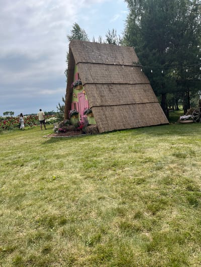 The image depicts a whimsical, A-frame style house with a thatched roof and light green walls, adorned with pink shutters and window boxes overflowing with pink and white flowers. String lights are suspended across the roof. The house is situated in a grassy field dotted with more flowers, particularly a dense patch of red and white roses to the left of the frame. Two individuals, a man in a yellow shirt and shorts and a woman in a white dress, are walking through the field, away from the camera and towards the rose bushes. The background features a line of trees and a cloudy sky. To the right of the house, a wagon wheel and a large pot with white flowers are visible, suggesting a decorative garden setting. The overall scene appears to be in Severynivka, Ukraine, likely a park or a flower exhibition.