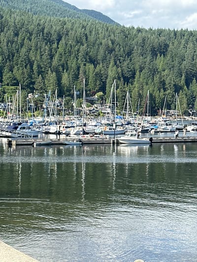 A marina in North Vancouver, Canada, is filled with many sailboats and a few motorboats. The boats are docked side-by-side in the water. Behind the marina, a dense forest covers a steep hillside. The trees are tall and green. The sky above is partly cloudy. The water in the foreground reflects the boats and trees. There are at least three people visible on the docks.