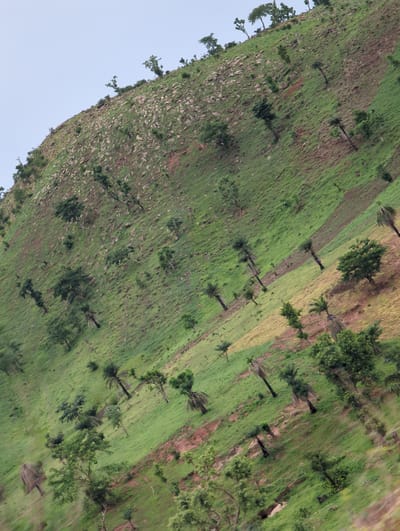 The image shows a hillside with a mix of green vegetation, bare patches, and trees in the area of Kaninkon, Nigeria. The terrain appears to be sloped, with some areas showing evidence of cultivated land divided into distinct rows or sections. The vegetation varies, with patches of what appears to be grass and scattered trees of different sizes. The sky is partially visible in the lower left corner, appearing light blue.