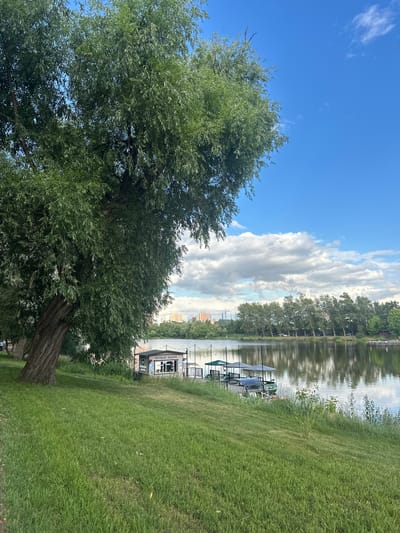 This is a vertical-oriented image of a park scene with a large tree in the foreground. The tree has a thick, gnarled trunk and a full canopy of green leaves, with the sky visible through its branches. Beyond the tree, a calm body of water reflects the sky and the trees lining its opposite bank. Along the water's edge, there's a small building with the Cyrillic text "ПРОКАТ ЛОДОК" visible, indicating a boat rental service. A few umbrellas and chairs are set up near the building, suggesting an area for relaxation or waiting. The sky is a vibrant blue with scattered white clouds. The grass in the foreground and midground is lush and green. The overall impression is a peaceful day in a park by a lake. The time of day appears to be daytime, likely afternoon, given the brightness and cloud formation. The weather seems pleasant, with a clear sky and sunshine, creating reflections on the water.