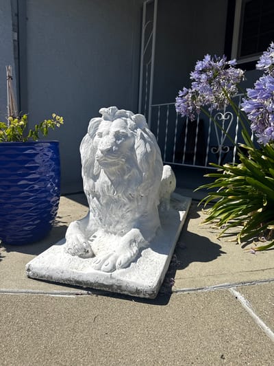 A white, weathered lion statue is the central focus of this outdoor scene. It is positioned on a light-colored rectangular base, which rests on a concrete surface. The lion is depicted in a reclining pose, facing left, with its head held high and its mane detailed. To the left of the statue, a large, textured, dark blue planter holds a small green plant. In the background, a pale blue wall and a white decorative railing are visible, with a dark-colored window above. To the right of the lion, a cluster of tall, green plants with purple flower stalks is prominent. The scene is bathed in bright sunlight, casting distinct shadows on the concrete. The image appears to be taken at ground level, looking slightly upwards. The setting suggests a residential or public outdoor space in Fremont, California, United States of America.