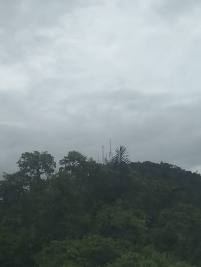 The image displays a landscape dominated by lush green foliage covering a hillside. Several communication towers rise above the treeline, silhouetted against an overcast sky. Two large, leafy trees are prominent in the foreground on the left side of the frame, while a cluster of these towers and a palm frond are visible further back on the right. The environment appears to be natural, with no visible signs of human activity beyond the towers. The lighting suggests a cloudy or overcast day, casting a muted light over the scene. The location is identified as Seungkomulat, Indonesia.