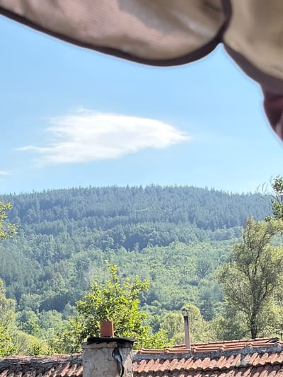 A view from a rooftop in Svetlia, Bulgaria, shows a lush green forest covering a hillside under a bright blue sky with a wispy white cloud. In the foreground, a clay chimney with a terracotta top stands on a tiled roof. A small tree with green leaves is visible near the chimney.
