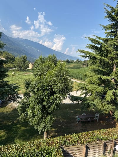 The image depicts a scenic view of the city of Sierre, Switzerland, on a clear day. In the foreground, a neatly trimmed green hedge lines a wooden fence. Beyond the hedge, a patch of green grass is visible, shaded by large evergreen trees, their branches reaching towards the sky. Underneath these trees, a wooden table and chairs are set up, suggesting an outdoor dining or relaxation area.

Further into the background, a large deciduous tree stands prominently, its lush green foliage casting a shadow on the grass. To the left, a gravel area is visible, with a parked car partially obscured. Beyond this, a bright yellow building stands against a backdrop of rolling green fields, dotted with what appear to be agricultural crops or vineyards. A single round bale of hay rests in one of the fields.

Dominating the far background are the majestic mountains of Sierre, their slopes covered in a mosaic of green vegetation. The sky above is a brilliant blue, punctuated by scattered white clouds, adding depth and texture to the panorama. The overall scene conveys a sense of tranquility and natural beauty, characteristic of the Swiss landscape.