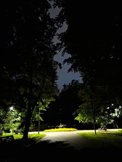 This is a low-light photograph taken at night in Nalchik, Russia. The image captures a park pathway illuminated by artificial lights, with dense trees bordering the path. The pathway is made of paving stones and is curved, leading into the darkness. To the left of the path, there is a grassy area with a park bench visible. The trees are tall and leafy, casting dark shadows and creating a sense of depth. The sky above is visible between the branches, appearing cloudy and dark, suggesting a cool night. The overall mood is serene and somewhat mysterious due to the darkness and the limited illumination. No people are visible in the frame, and no text is present. The scene depicts a quiet, natural setting at night, likely a public park in the city.