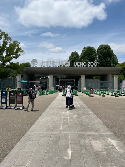 The image displays the entrance to Ueno Zoo in Taito, Japan. A large concrete archway serves as the main entrance, featuring the zoo's name "上野動物園 UENO ZOO" in both Japanese characters and English capital letters. A circular logo depicting a stylized white bird is positioned above the Japanese characters. The archway is supported by robust pillars, and behind it, a green metal gate is visible.

The sky is bright blue with scattered white, fluffy clouds. Lush green trees frame the entrance structure on both sides and extend into the background.

In the foreground, a wide, light grey tiled walkway leads directly to the zoo entrance. On either side of this walkway, the ground is covered in a darker grey asphalt.

Several people are present. In the left foreground, a man with a dark t-shirt, light grey pants, and a grey backpack stands, facing towards the entrance. In the right foreground, a person, from behind, pushes a dark stroller while wearing a white long-sleeved top, dark bottom, and a white sun hat, also moving towards the entrance. Closer to the entrance, other individuals are visible, including one person under a teal umbrella to the left.

To the left of the walkway, three dark A-frame signs with white text and arrows provide directions: one blue-topped sign with a left arrow and a QR code, a green-topped sign with an upward arrow indicating "online payment" and "ticket vending machine" directions, and a burgundy-topped sign with a right arrow for "passport holders" and "group entries". Numerous small, bright green traffic cones are systematically arranged on the asphalt, defining entry lanes or guiding visitors towards the gates.
