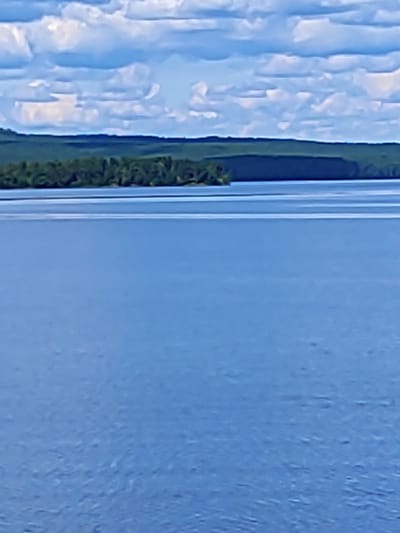 The image shows a wide expanse of blue water, likely a lake or reservoir, under a partly cloudy sky. The horizon is lined with a dark green, densely forested landmass. The sky is filled with puffy white clouds against a pale blue background. The water has a slightly rippled surface, suggesting a gentle breeze. There are no people, buildings, or man-made objects visible in the image. The scene appears to be a natural landscape.