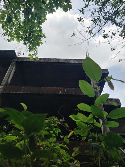 The image is taken from a low angle, looking up at a concrete structure with vegetation growing around it. The structure appears aged, possibly abandoned. The sky is visible between the building and the foliage, with clouds. It may be located in Marna, India. There are no people visible in the image. The main subjects are the concrete structure and the surrounding foliage. The photograph seems to capture a moment of urban decay juxtaposed with the growth of nature.